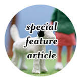 ��������:special feature article
